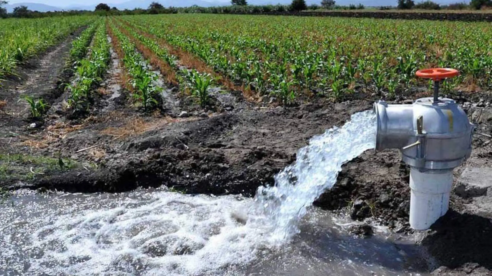 agua campo riego